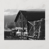 Hay Barn Postcard Postkarte (Vorderseite)