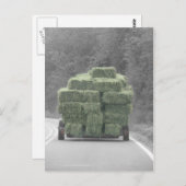 Hay da! postkarte (Vorne/Hinten)