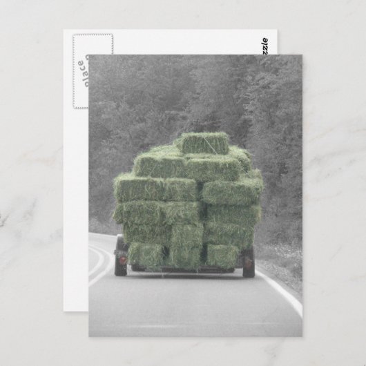 Hay da! postkarte (Vorne/Hinten)