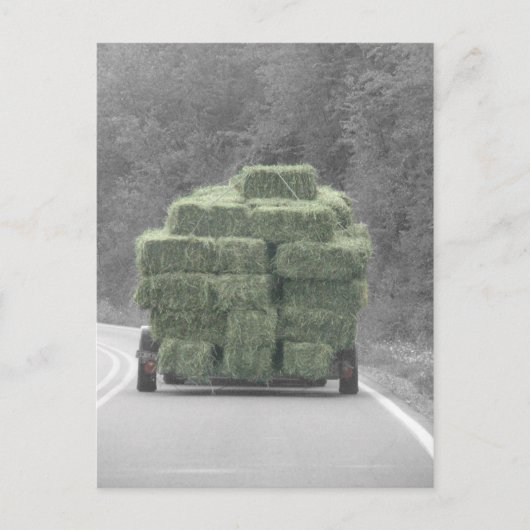 Hay da! postkarte (Vorderseite)