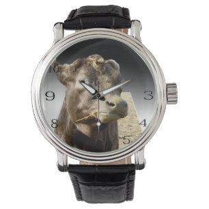 Hay Day: Eine braune Kuh stürmt im Pop aus. Armbanduhr