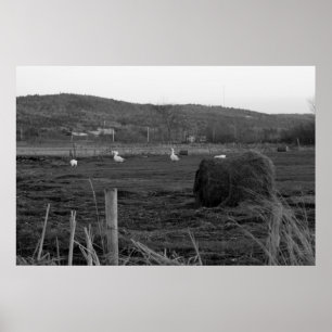 Hay Days Print Poster