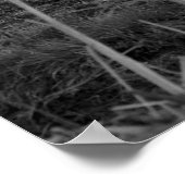 Hay Days Print Poster (Ecke)