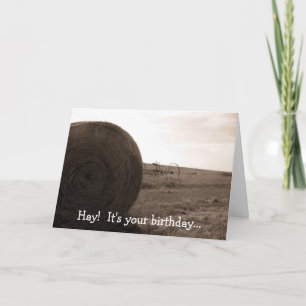 Hay! Du hast Geburtstag... Karte