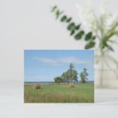 Hay Field Postcard Postkarte (Stehend Vorderseite)
