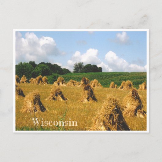 Hay Field Postkarte (Vorderseite)