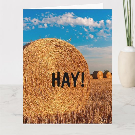 HAY FUNNY PUN HELLO Grußkarten Karte (Vorderseite)