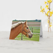 Hay Girl Happy Birthday Horse Karte (Gelbe Blume)