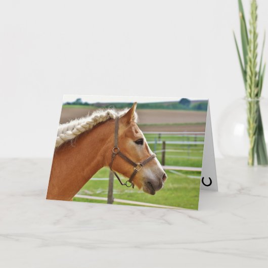 Hay Girl Happy Birthday Horse Karte (Vorderseite)