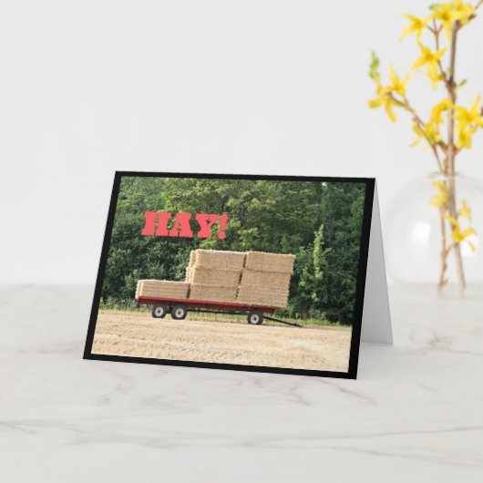 Hay! Happy Birthday Karte (Gelbe Blume)