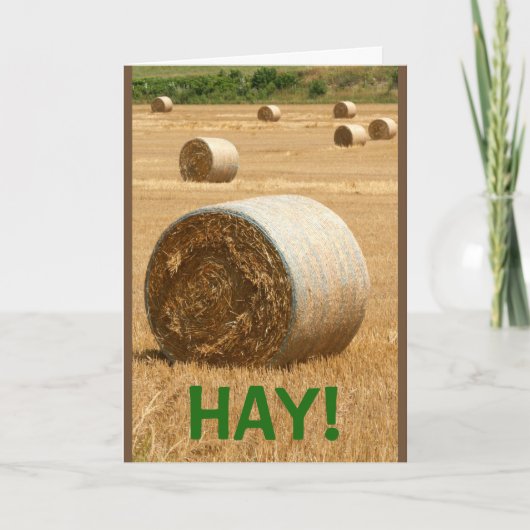 HAY! Happy Birthday Karte (Vorderseite)