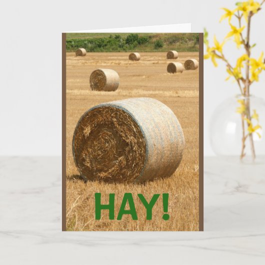 HAY! Happy Birthday Karte (Gelbe Blume)