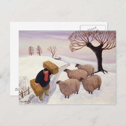 Hay im Winter zum Schaf tragen Postkarte (Vorne/Hinten)