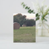 Hay in Bauern Wiese Postkarte (Stehend Vorderseite)