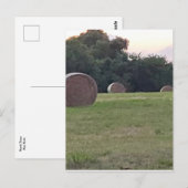 Hay in Bauern Wiese Postkarte (Vorne/Hinten)