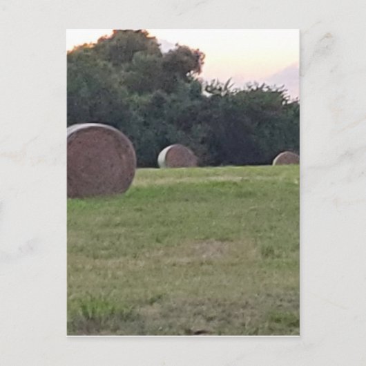 Hay in Bauern Wiese Postkarte (Vorderseite)