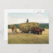 Hay in New England - Vintag 1900 Postkarte (Vorne/Hinten)