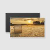 Hay Magnetkarte (Vorne/Hinten)