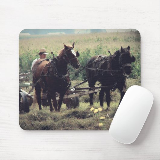 Hay Mousepad (Mit Mouse)