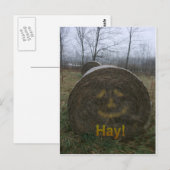 Hay! Postkarte (Vorne/Hinten)