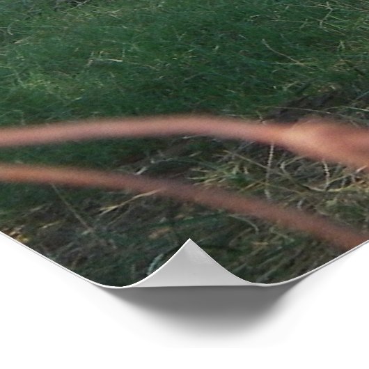 Hay Rake Poster (Ecke)