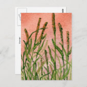 "Hay Someday" Landstraßen Postkarte (Vorne/Hinten)