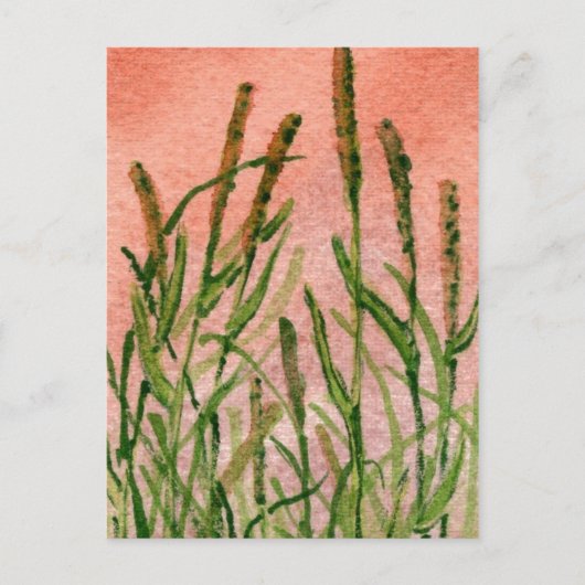 "Hay Someday" Landstraßen Postkarte (Vorderseite)