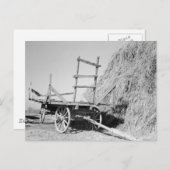 Hay Stapel und Wagen - 1939. Postkarte (Vorne/Hinten)