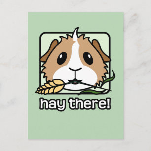 Hay There! (Guinea Pig) Postkarte