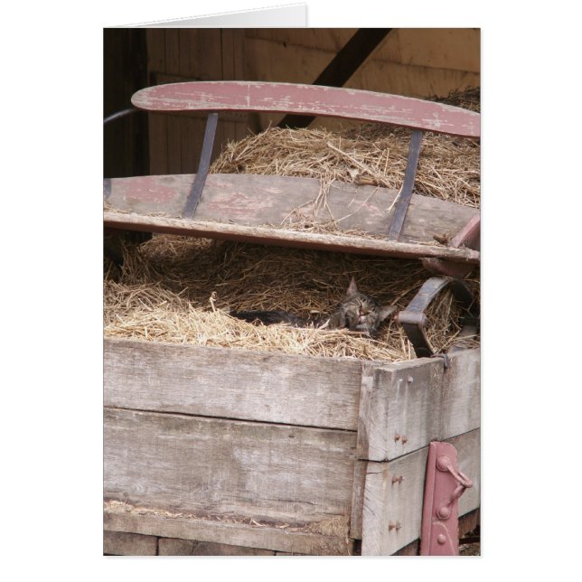 Hay Wagon (Vorne)