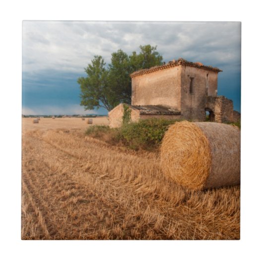 Haybale in der Provence Fliese (Vorderseite)