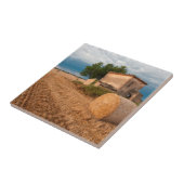 Haybale in der Provence Fliese (Seite)