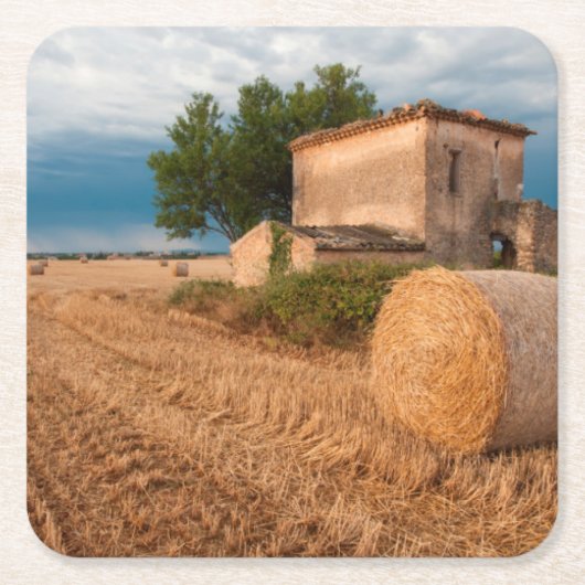 Haybale in der Provence Rechteckiger Pappuntersetzer (Vorderseite)