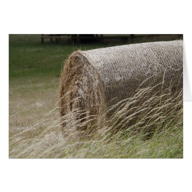 Haybales (Vorderseite (Horizontal))