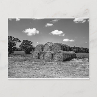 Haybales im Norden Postkarte