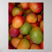 Hayden Mangoes Poster (Vorne)