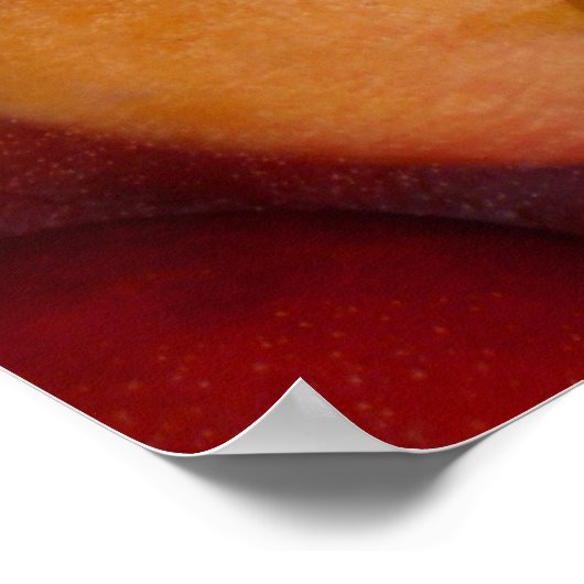 Hayden Mangoes Poster (Ecke)