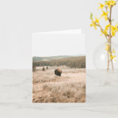 Hayden Valley -- 4" x 5.6" Notecard Karte (Gelbe Blume)