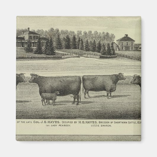 Hayes, Olathe und Ellis Residence and Farm Magnet (Vorne)