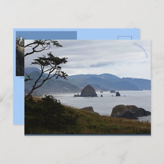 Haystack Rock, Oregon Postkarte (Vorne/Hinten)