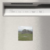 Haytor. Felsen in Devon England. Magnet (In Situ (Geschirrspüler))