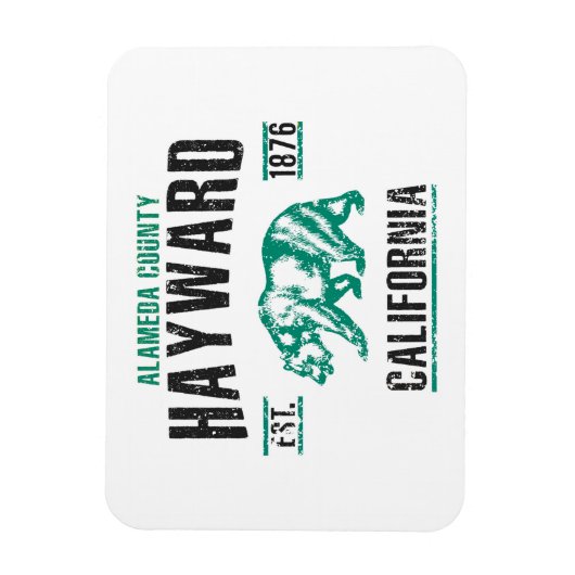 Hayward Magnet (Vertikal)