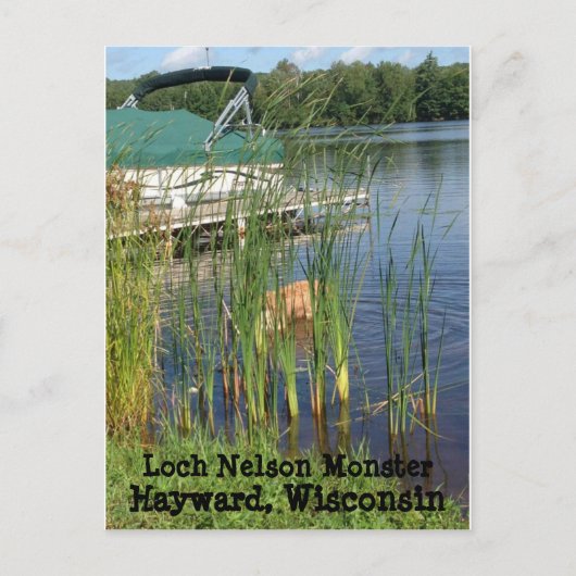 Hayward, Wisconsin Postcard Postkarte (Vorderseite)