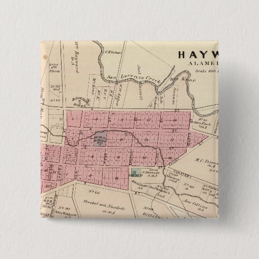 Haywards, Crist-Gerberei Button (Vorderseite)