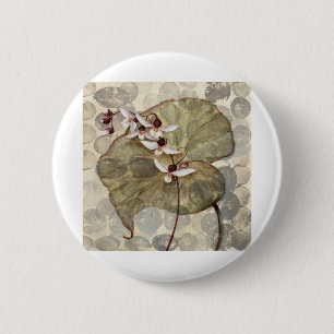 HAZ24 Amazonas-Gebiet 2.tif Button