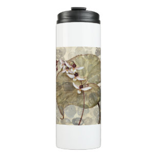 HAZ24 Amazonas-Gebiet 2.tif Thermosbecher