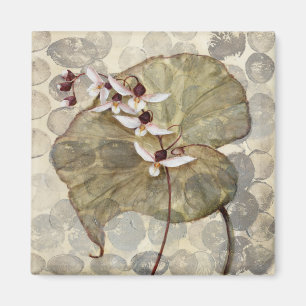 HAZ24 Amazonia 2,tif Magnet