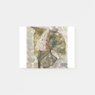 HAZ25 Amazonas-Gebiet 3.tif Post-it Klebezettel