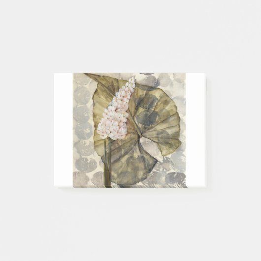 HAZ25 Amazonas-Gebiet 3.tif Post-it Klebezettel (Vorderseite)