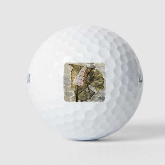 HAZ25 Amazonia 3.tif Golfball (Vorderseite)